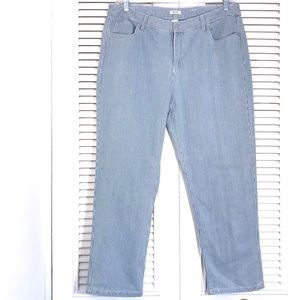 Westport - NWOT Blue Railroad Stripe Jeans!